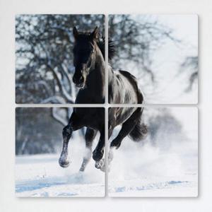 아트박스/꾸밈 cf781-멀티액자_눈위를질주하는말