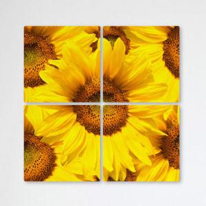 아트박스/꾸밈 tb311-멀티액자_빼곡한해바라기