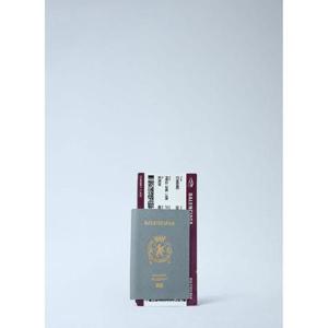 25 FW 발렌시아가 남성 여권 장지갑 bal0161029gry