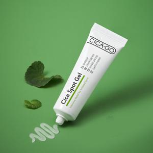 시카고 시카 스팟겔 25g