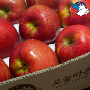 [오늘따온]경북산 햇 못난이 감홍사과 3.5kg