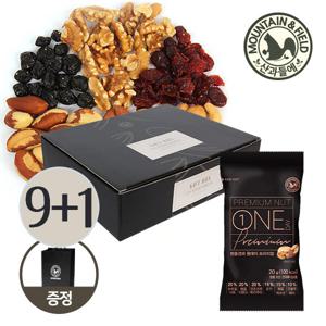 [9+1]산과들에 하루견과 원데이프리미엄 50봉 설선물세트 +쇼핑백 (견과선물)