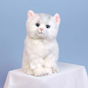 위더펫 리얼 고양이 인형 페르시안 친칠라 화이트 (W7773FC)