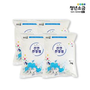 [청년소금] 3년묵은 신안 천일염 20kg 간수뺀 굵은소금 (5kg x 4팩)