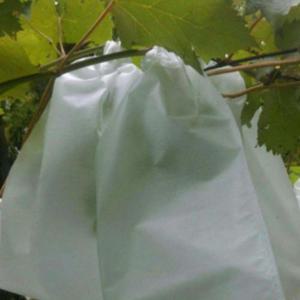 핀부착 봉투 봉지 과일 과수 포도봉지 35x45cm