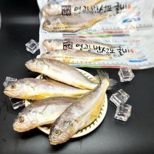 법성포 영광굴비 진공 3호(20미,1.7kg내외,20cm내외)