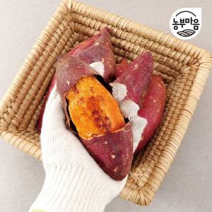 [농부마음]2025년 햇 호박고구마 호풍미 신품종 10kg 특/상