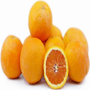 [KMF] 고당도 네이블 오렌지 중과 30과