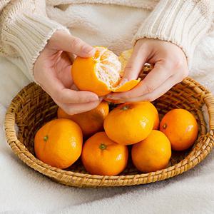 서귀포 하례마을 노지감귤 5kg (로얄과, S-M, 실중량)