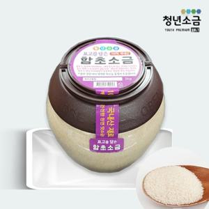 [청년소금] 표고 함초소금 3kg (가는 입자)