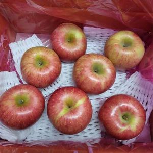 갤러리아_밀양 얼음골 부사사과 3kg 중대과(9과내외)