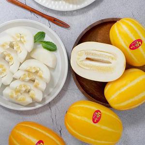 겨울 성주참외 대과 2kg