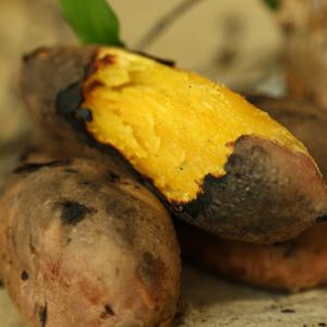 해남 꿀고구마 베니하루카 달콤한 황금고구마 중 10kg