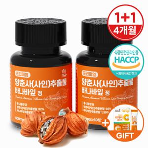 [건강머금] 양춘사 추출물 바나바잎 프리미엄 정 1+1병(4개월분) +비타씨