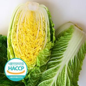 [예약판매] 해썹인증 강원도 절임배추 10kg 3-5포기 절인 김장 김치 IJ