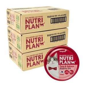 뉴트리플랜 고양이 간식 습식캔 흰살참치와 연어 160g x 72캔