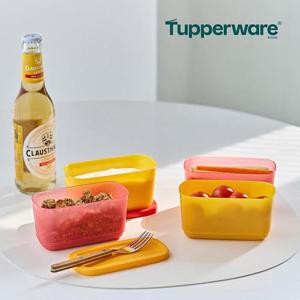 타파웨어 싱싱블록 미니 직사각 250ml 2개