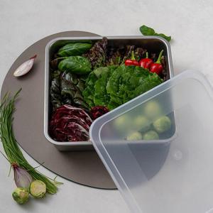 알텐바흐 스텐 밧드 정사각 소 S 17.3cm (채반+뚜껑포함)