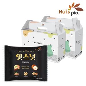 [넛츠피아] 잇츠넛 100봉 선물세트 (50봉x2세트) 브라질너트 프리미엄 하루견과