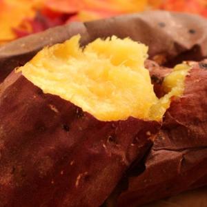 [산지직송] 달콤한 해남 꿀고구마 10kg 못난이(40g 이상)