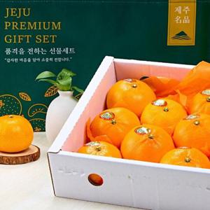 제주 하우스 고당도 달콤과즙 레드향 선물세트 3kg 8-11입 (+선물가방)