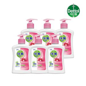 [데톨] 스킨케어 핸드워시 250g x6개