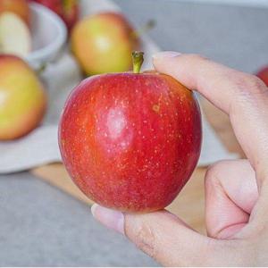 갤러리아_[농부마음]루비에스 미니사과 1kg 14-25과 내외