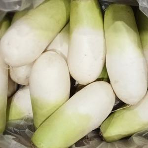 초록초록팜 세척 제주 월동무 10kg 내외 (7-8개) 제주산 국산무 손질 겨울무 바로조리 제철 제주 무우