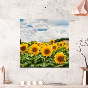 [아트빌리지]거실 인테리어 장식 해바라기 그림액자(70x70cm)