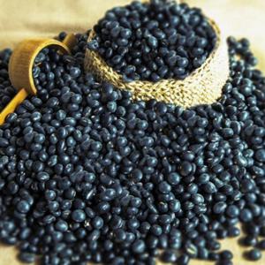 국내산 쥐눈이콩 약콩 1.1kg 서목태 24년산 할인가