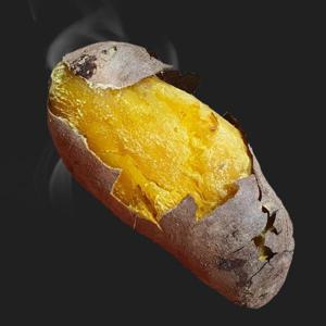 초록초록팜 해남 황토 달달 촉촉 햇 호박고구마  특상 (120-300g) 10kg