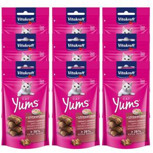 비타크래프트 고양이 캣얌 리버소세지 40g 1BOX 9개