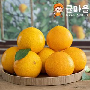 귤마을 노지 황금향 5kg 대과