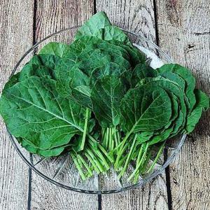 갤러리아_경기도 광주 산지발송 유기농 쌈케일 1kg