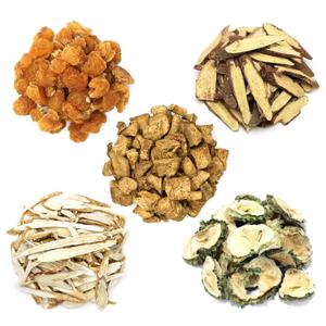 쏙당차 재료 만들기 세트 500g 치커리뿌리 용안육 황기 감초 여주 식전차 쑥차