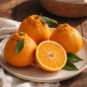 12brix이상 고당도 써니트 한라봉 4.5kg 중소과(18-23과)