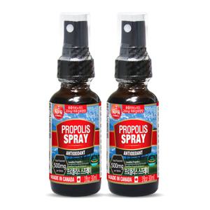 [Canada 통라이프] 캐나다 프로폴리스 스프레이30ml-플라보노이드 총500mg-2병