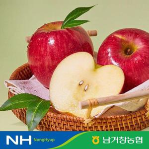 갤러리아_아삭달콤한 거창 꿀사과 못난이사과 5kg(중과)17-23과 내외 부사