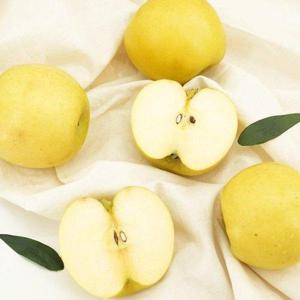 갤러리아_[착한식탁]시나노골드 주스용 실중량 10kg