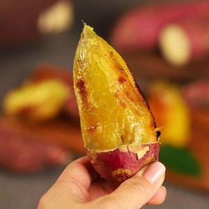 갤러리아_무안 황토 24년 햇고구마 특상 5kg (개당 100~300g)