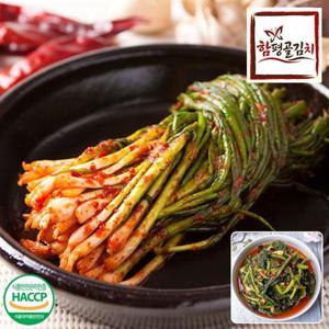 함평골김치 감칠맛이 풍부한 전라도 파김치1kg+열무김치1kg