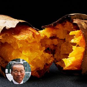 김의준 영암 세척+숙성  황금고구마 3kg 로얄 소 x 2박스(개당70~110g)