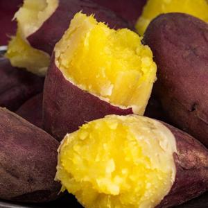 베니하루카 해남 꿀고구마 특상 10kg