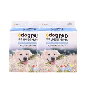 구독 고흡수 강아지 배변패드 200매(100매 2개세트)