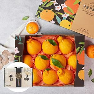 [부직포가방포장]제주 한라봉 2.6kg 9-11과 과일선물세트