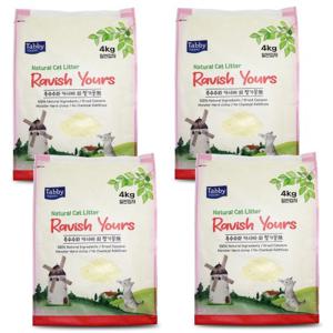 테비 라유 카사바모래(4kgX4개)