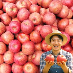 포미식탁 경북 못난이 가정용 부사사과 9kg 소과