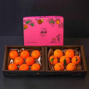 [보자기포장]제주 2종 (한라봉1.6kg 7과내외+레드향1.6kg 8과내외) 과일 선물세트