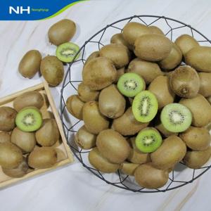 전남 순천 그린키위 3kg(40과 내외)