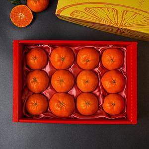 [보자기포장]제주 레드향 2.6kg(12과내외) 과일 선물세트